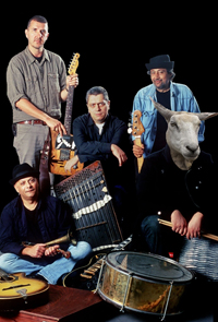 Grupo NightLosers en Alicante y Benidorm